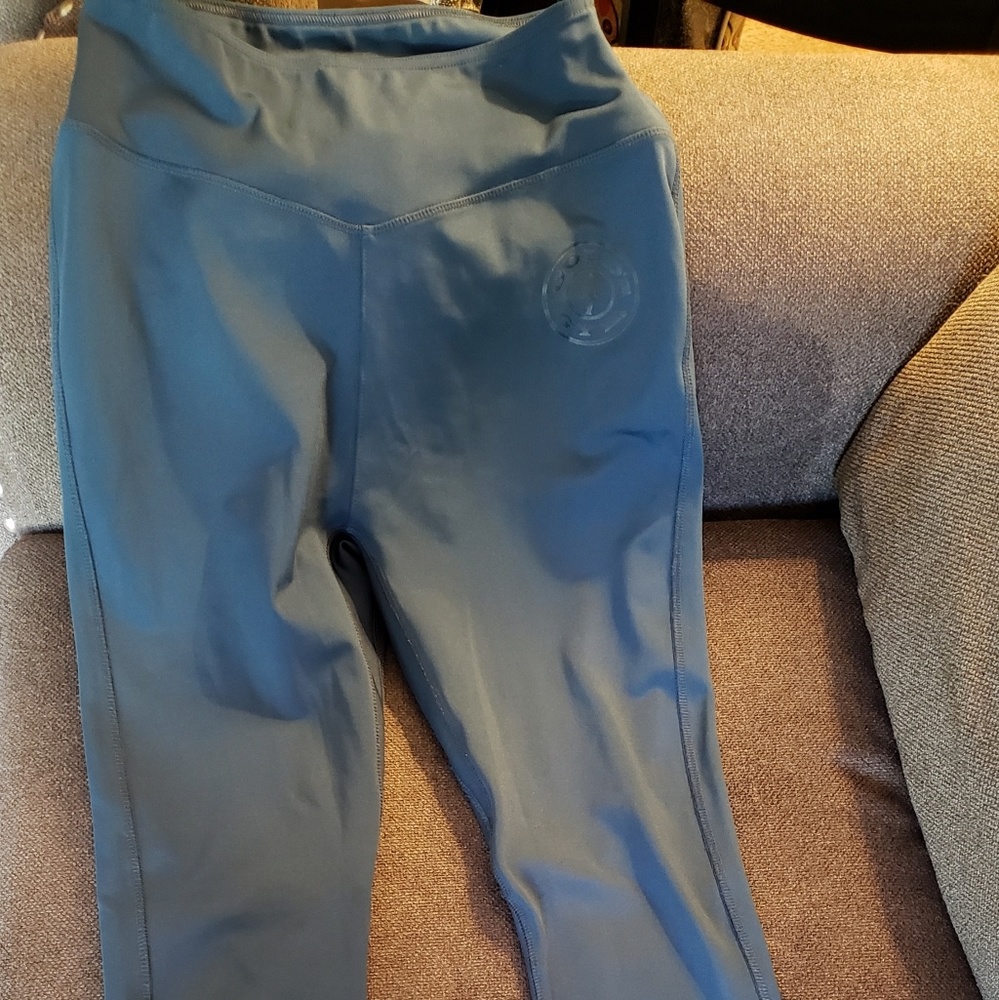 Dark teal Gym Shark/Gold's Gym leggings